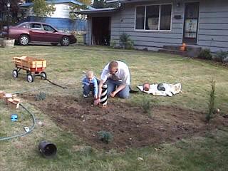 plantingbulbs.jpg