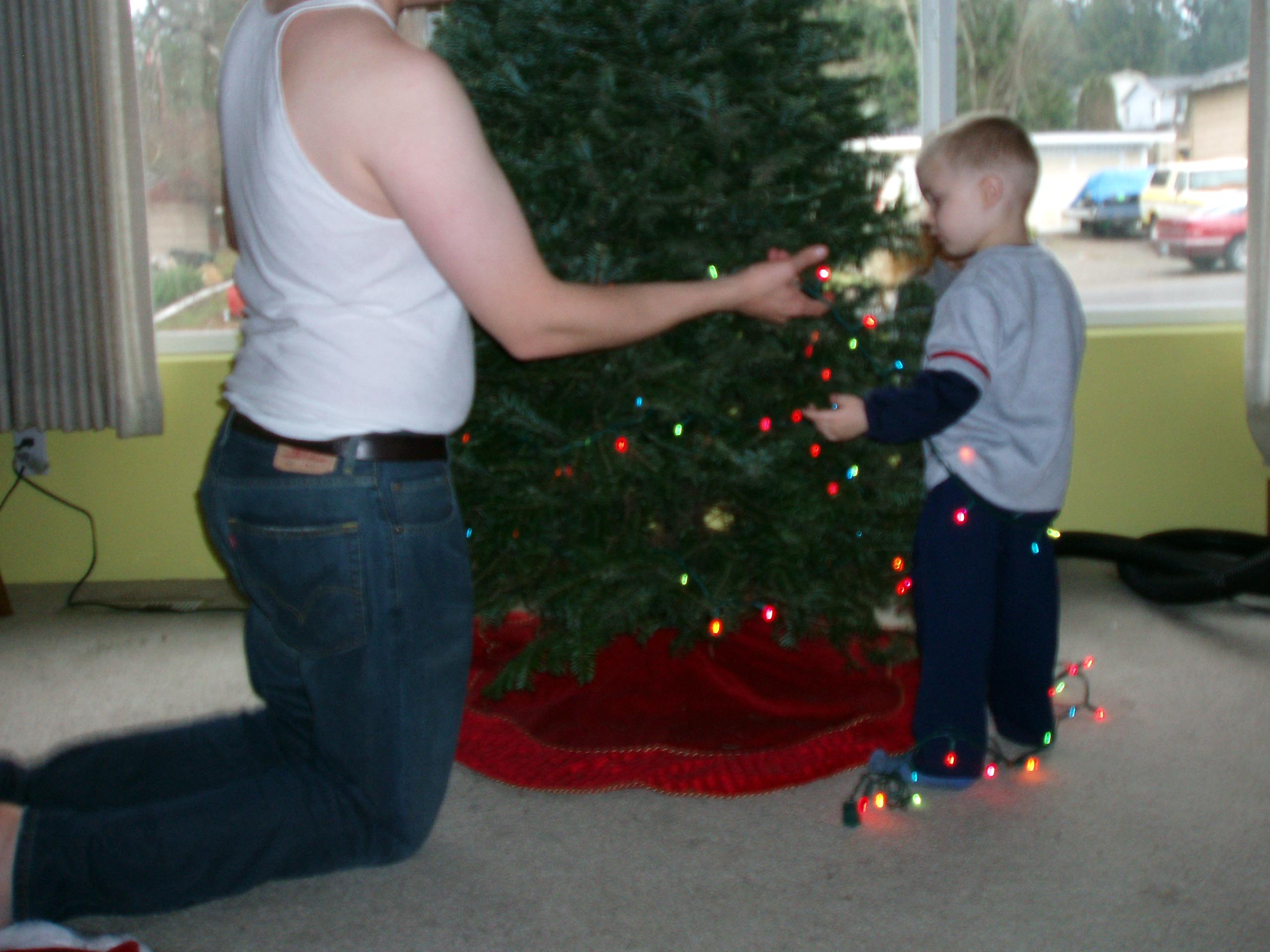 treelights.jpg